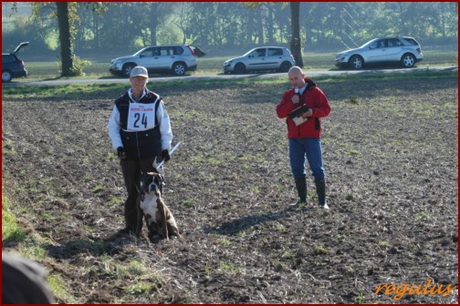 DM FH 2011